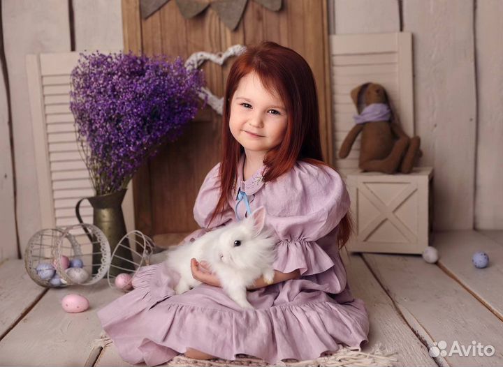 Аренда кроликов