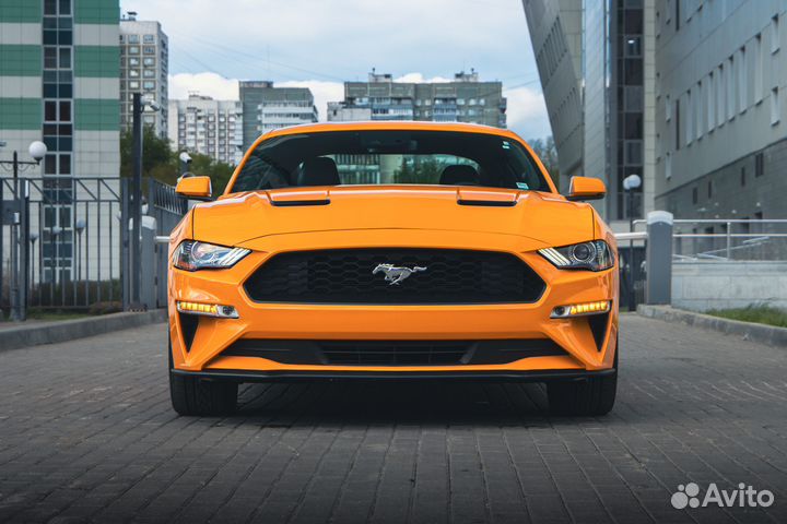 Ford Mustang 2.3 МТ, 2019, 50 960 км