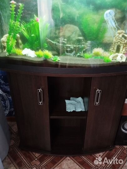 Аквариум
