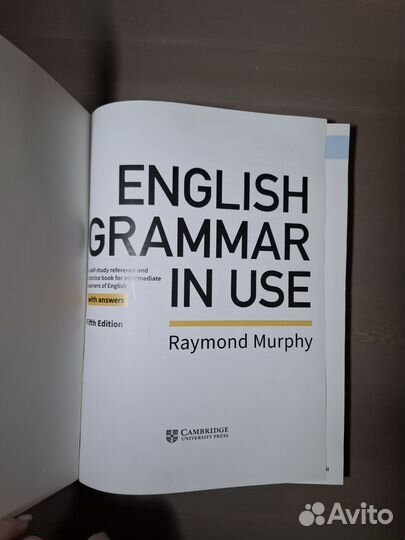 English grammar in use Raymond Murphy intermediate