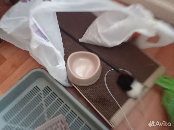 Набор для кошек