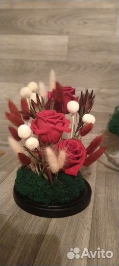 Клош стеклянный