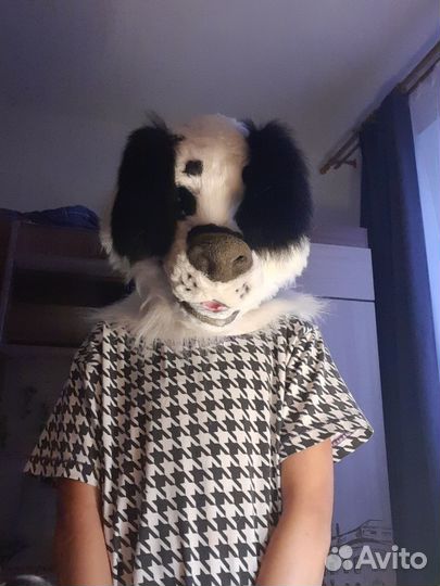 Фурсьют собаки