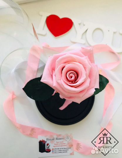 Роза в колбе