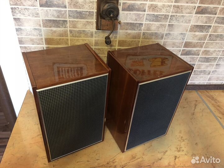 Колонки Вега 10 мас-1 М