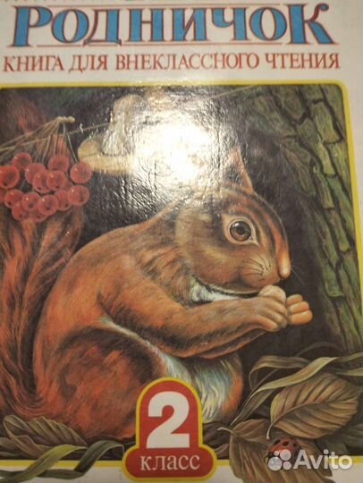 Книга родничок второй класс