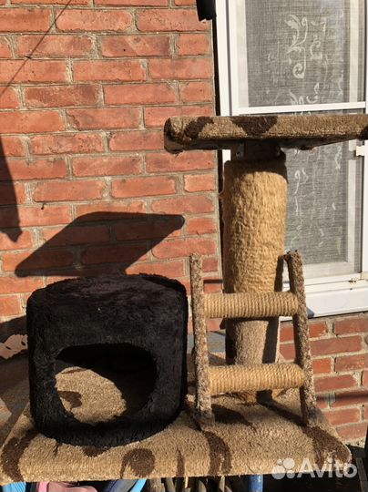 Когтеточка домик для кошки