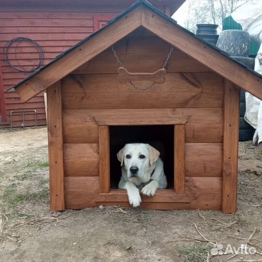 Будка, конура для собаки