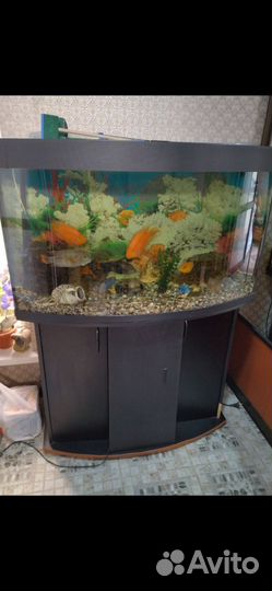Аквариум с тумбой