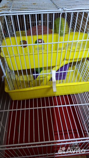 Клетка для грызунов бу