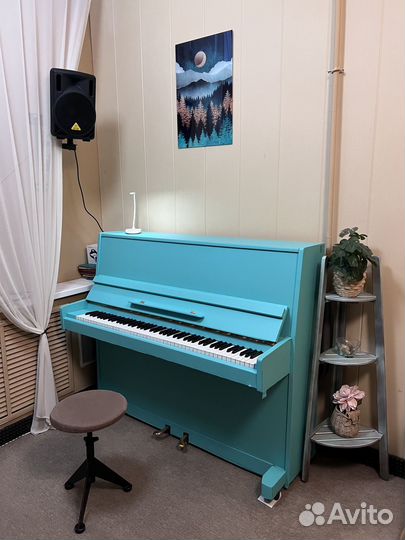 Действующие музыкальные классы