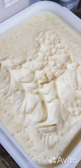 Мёд 23 год донниковый