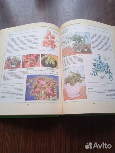 Книга Комнатные растения от А до Я