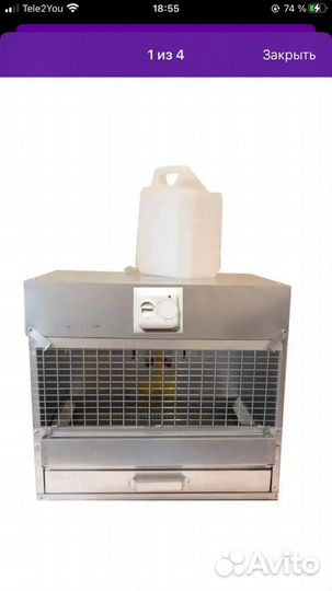 Брудер для цыплят