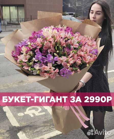 Шикарный Букет из Альстромерий. Доставка