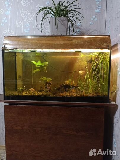 Аквариум с фильтром и светом 95х45х36
