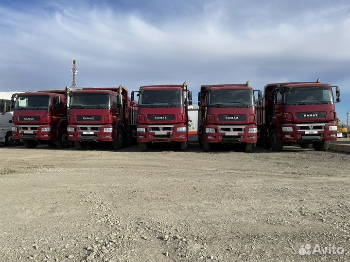 КамАЗ 65801-T5, 2020