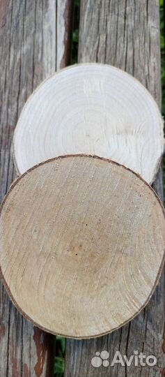 Спил дерева