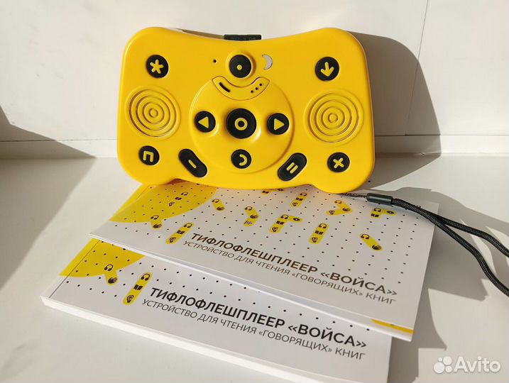 Тифлофлешплеер войса