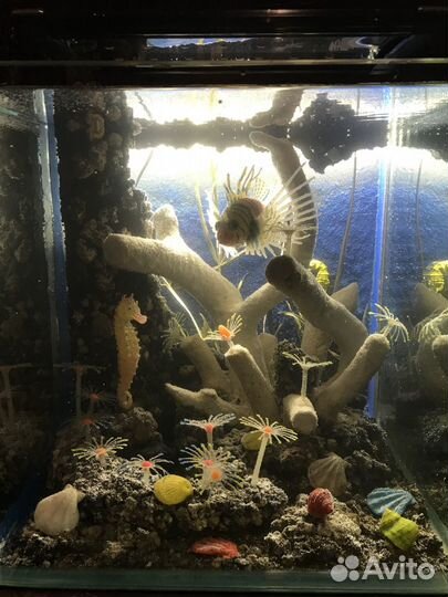 Аквариум 30 л(кубик)