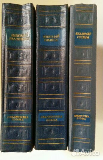 Серия книг Библиотека поэта