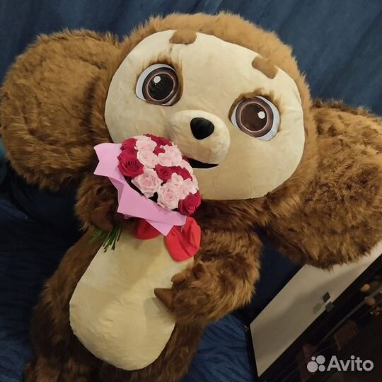 Праздники мероприятия