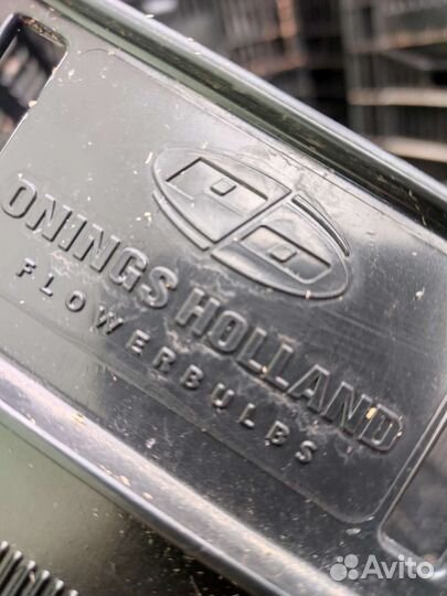 Пластиковые ящики для овощей бу