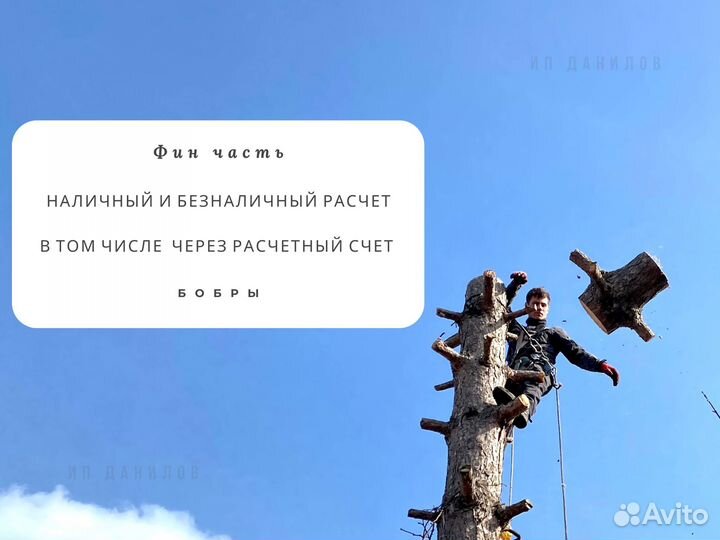 Расчистка участка от деревьев, под строительство