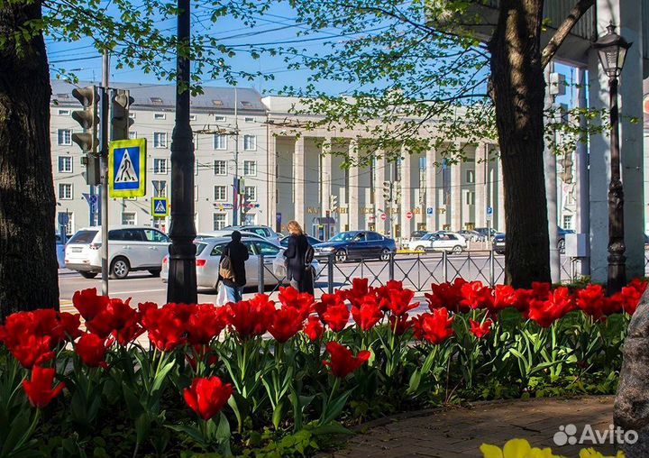 Отдых в Калининграде, экскурсионный тур на 7 дней