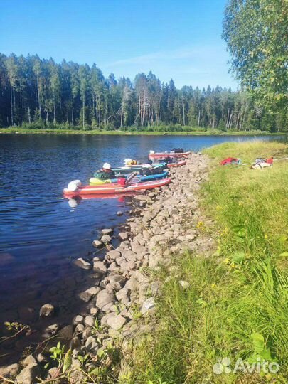 Аренда, прокат сап бордов (sup board)