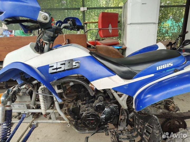 Irbis atv 250s
