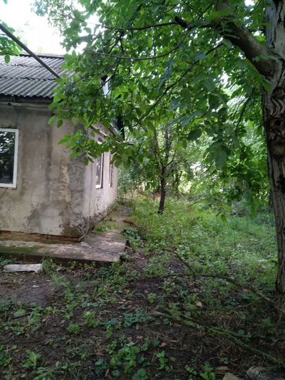 Дом 45,5 м² на участке 25,5 сот.