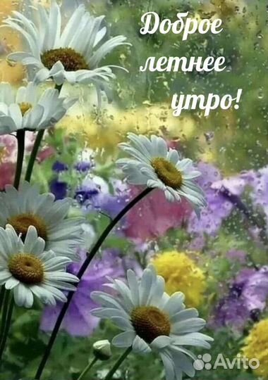 Скошу траву на участке триммером