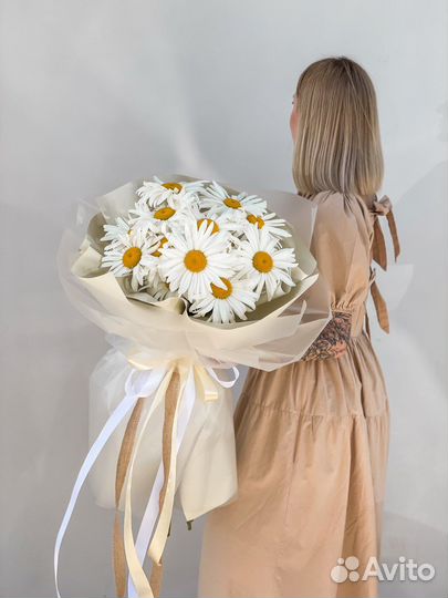 Свежие ромашки