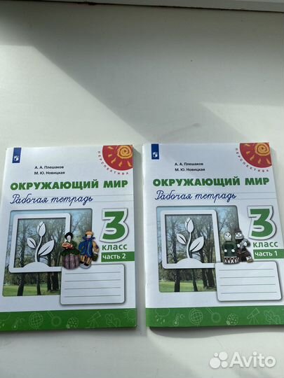 Рабочая тетрадь по окружающему миру за 3 класс