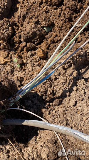 Услуги электрика