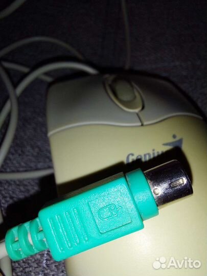 Компьютерная мышь Genius Net Scroll+