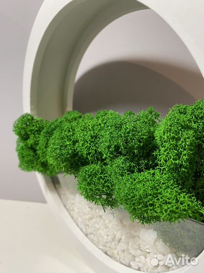 Декор для дома