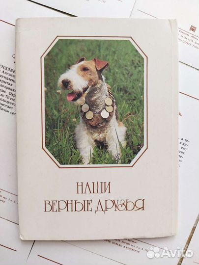 Наборы открыток с породами собак