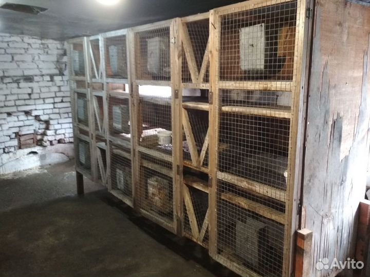 Будка для крольчат