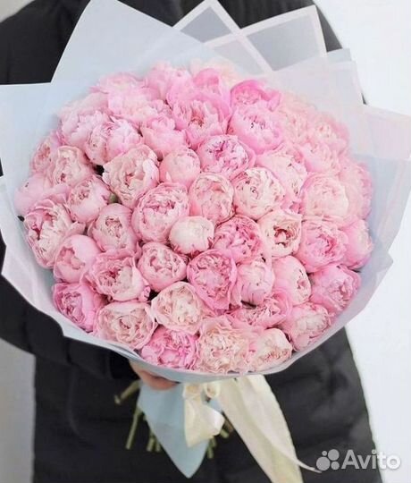 Пионы Розы Доставка