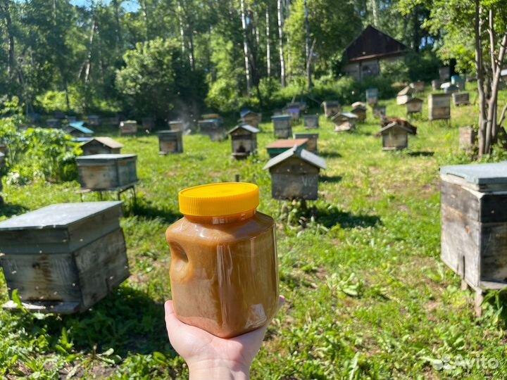 Мёд Алтайский 1 литр