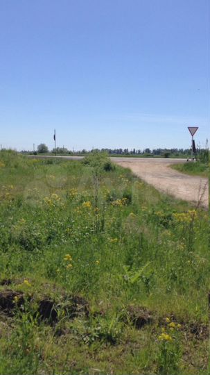 Участок 50 га (СНТ, ДНП)