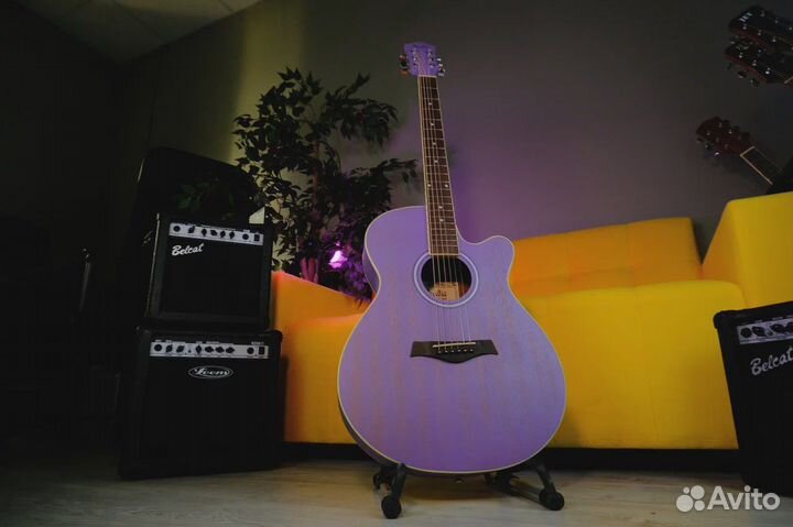 Акустическая гитара + Чехол