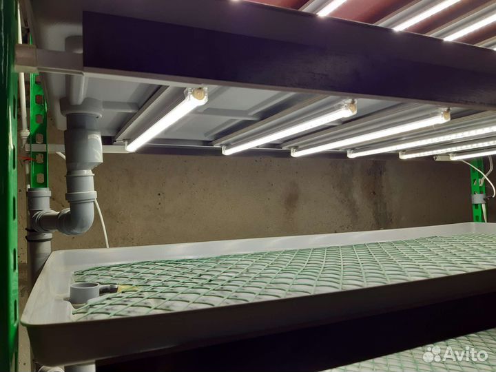 Установка для выращивания микрозелени