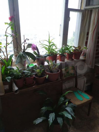 Комната 16 м² в 2-к., 13/16 эт.