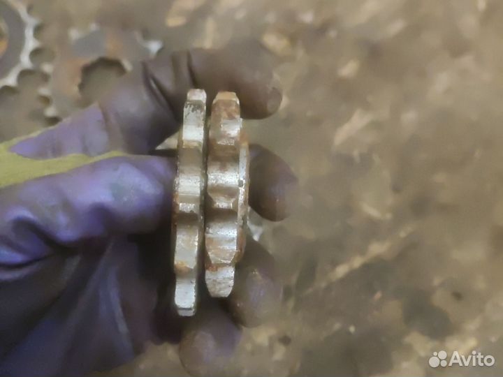 Ведущая звезда Иж