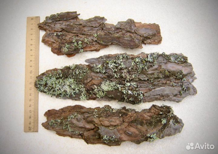 Кора сосновая/березовая/с лишайником