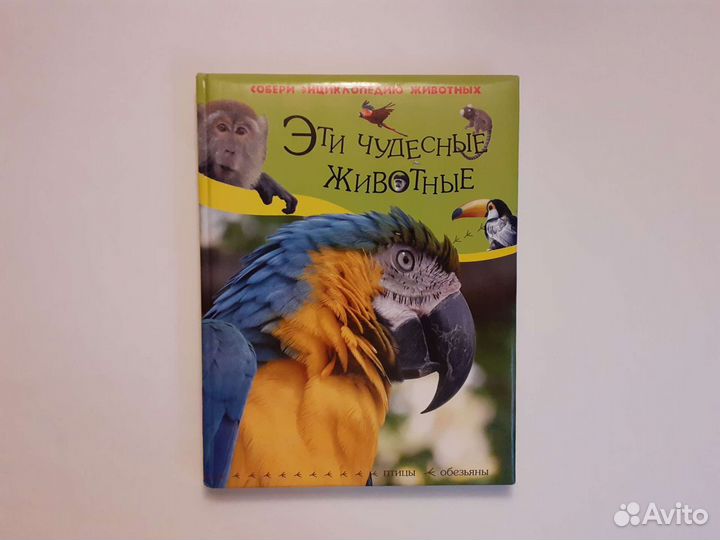 Детская энциклопедия 