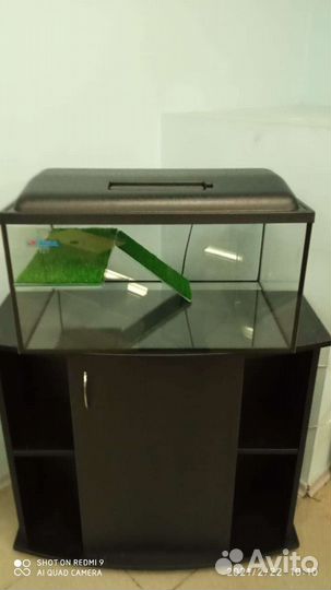 Аквариум для черепах. Акватеррариум черепашник